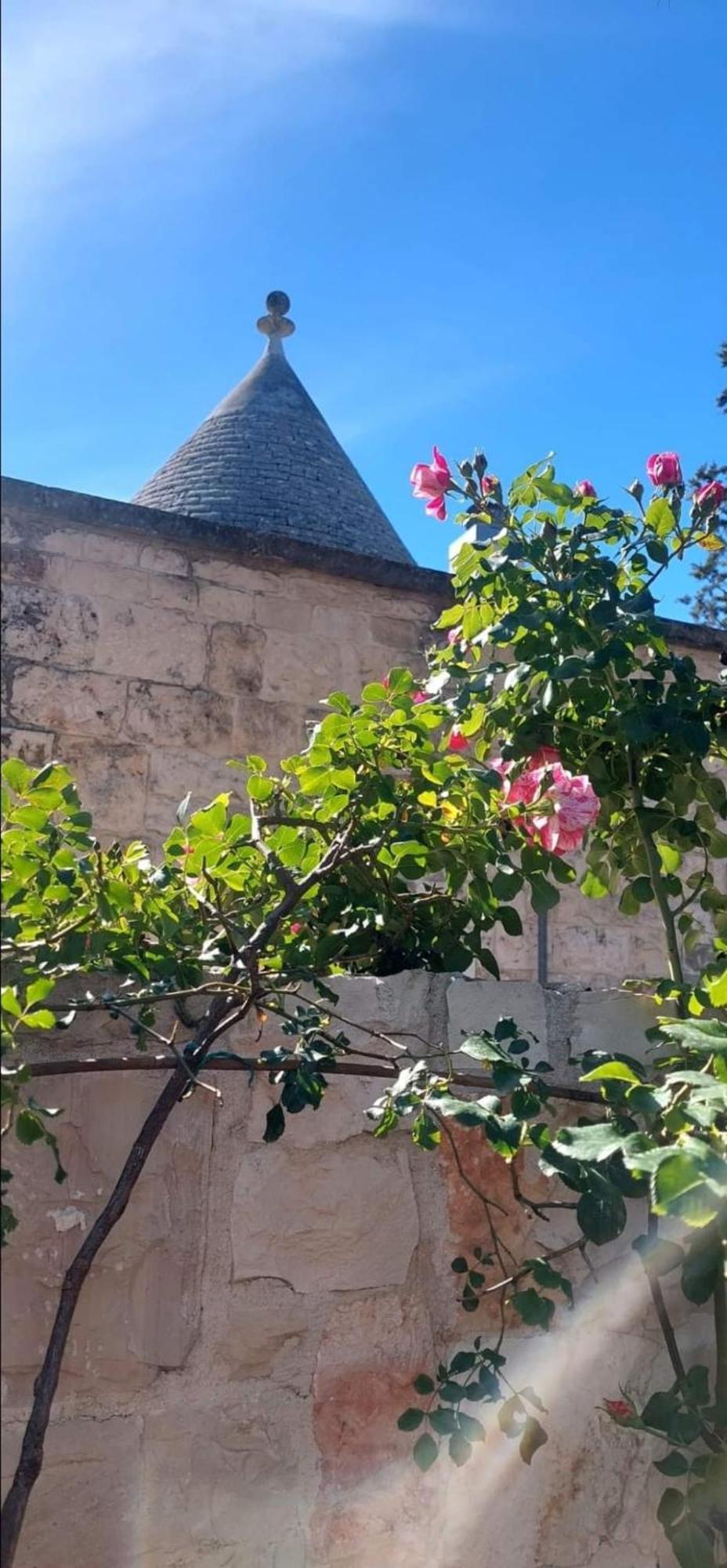 Il Trullo Delle Rose, Monopoli By Il Pumo Di Puglia Villa Cozzana Exterior photo